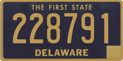 DE license plate 228791