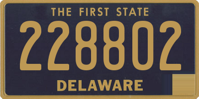 DE license plate 228802