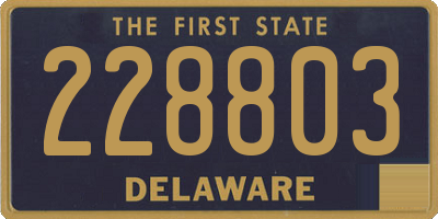 DE license plate 228803