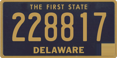 DE license plate 228817