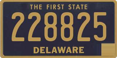 DE license plate 228825