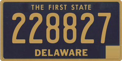 DE license plate 228827