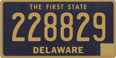 DE license plate 228829