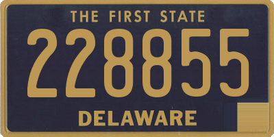 DE license plate 228855