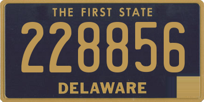 DE license plate 228856