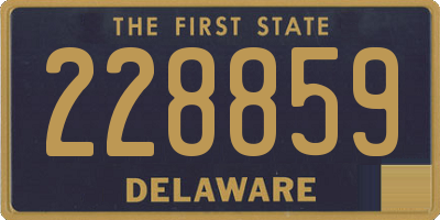 DE license plate 228859