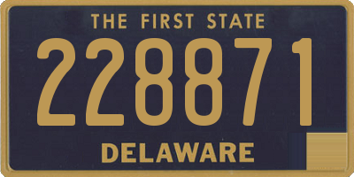 DE license plate 228871