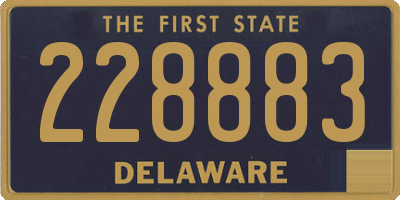 DE license plate 228883