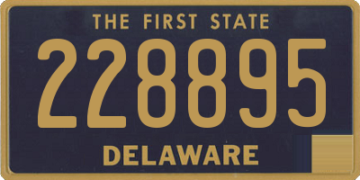 DE license plate 228895