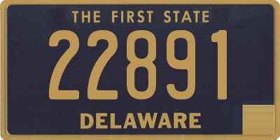 DE license plate 22891