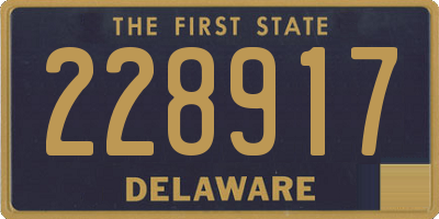 DE license plate 228917