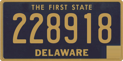 DE license plate 228918