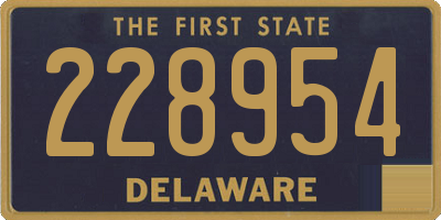 DE license plate 228954