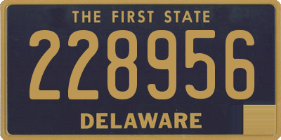 DE license plate 228956