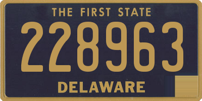 DE license plate 228963