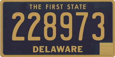 DE license plate 228973