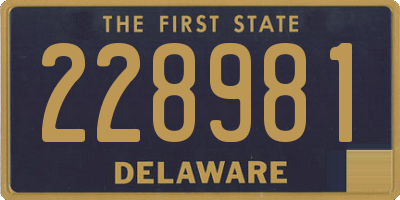 DE license plate 228981