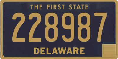 DE license plate 228987