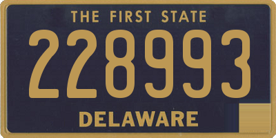 DE license plate 228993