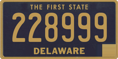 DE license plate 228999