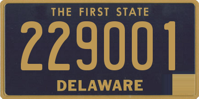 DE license plate 229001