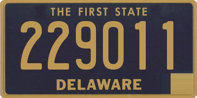DE license plate 229011