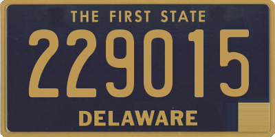 DE license plate 229015