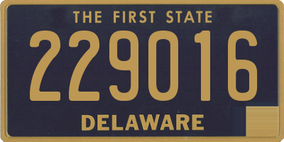 DE license plate 229016