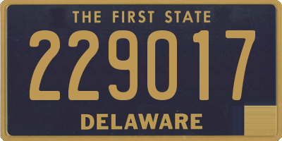 DE license plate 229017