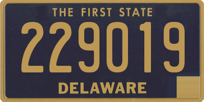 DE license plate 229019