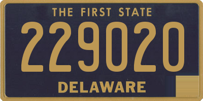 DE license plate 229020