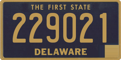 DE license plate 229021