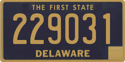 DE license plate 229031