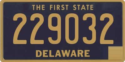 DE license plate 229032
