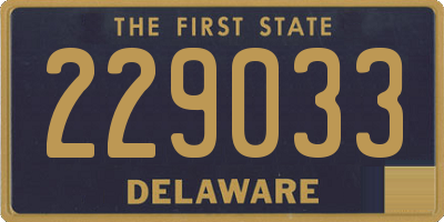 DE license plate 229033