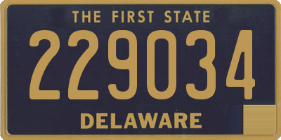 DE license plate 229034