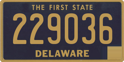 DE license plate 229036