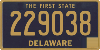 DE license plate 229038