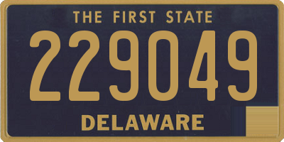 DE license plate 229049