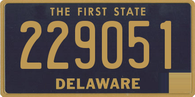 DE license plate 229051