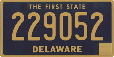 DE license plate 229052