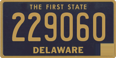 DE license plate 229060