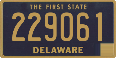 DE license plate 229061