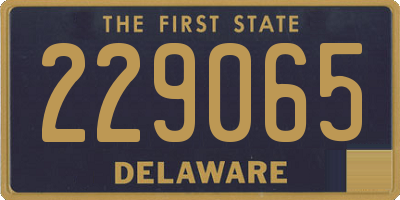 DE license plate 229065