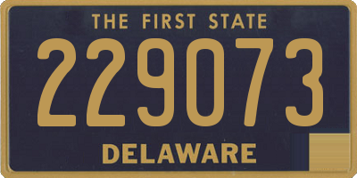 DE license plate 229073