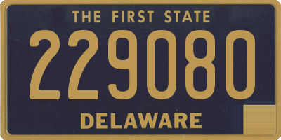 DE license plate 229080