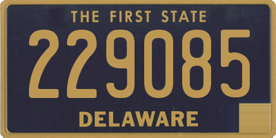 DE license plate 229085