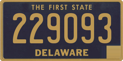 DE license plate 229093