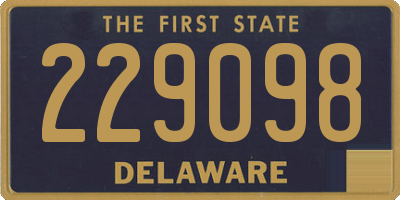 DE license plate 229098