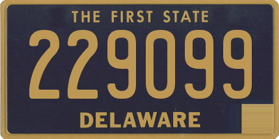 DE license plate 229099